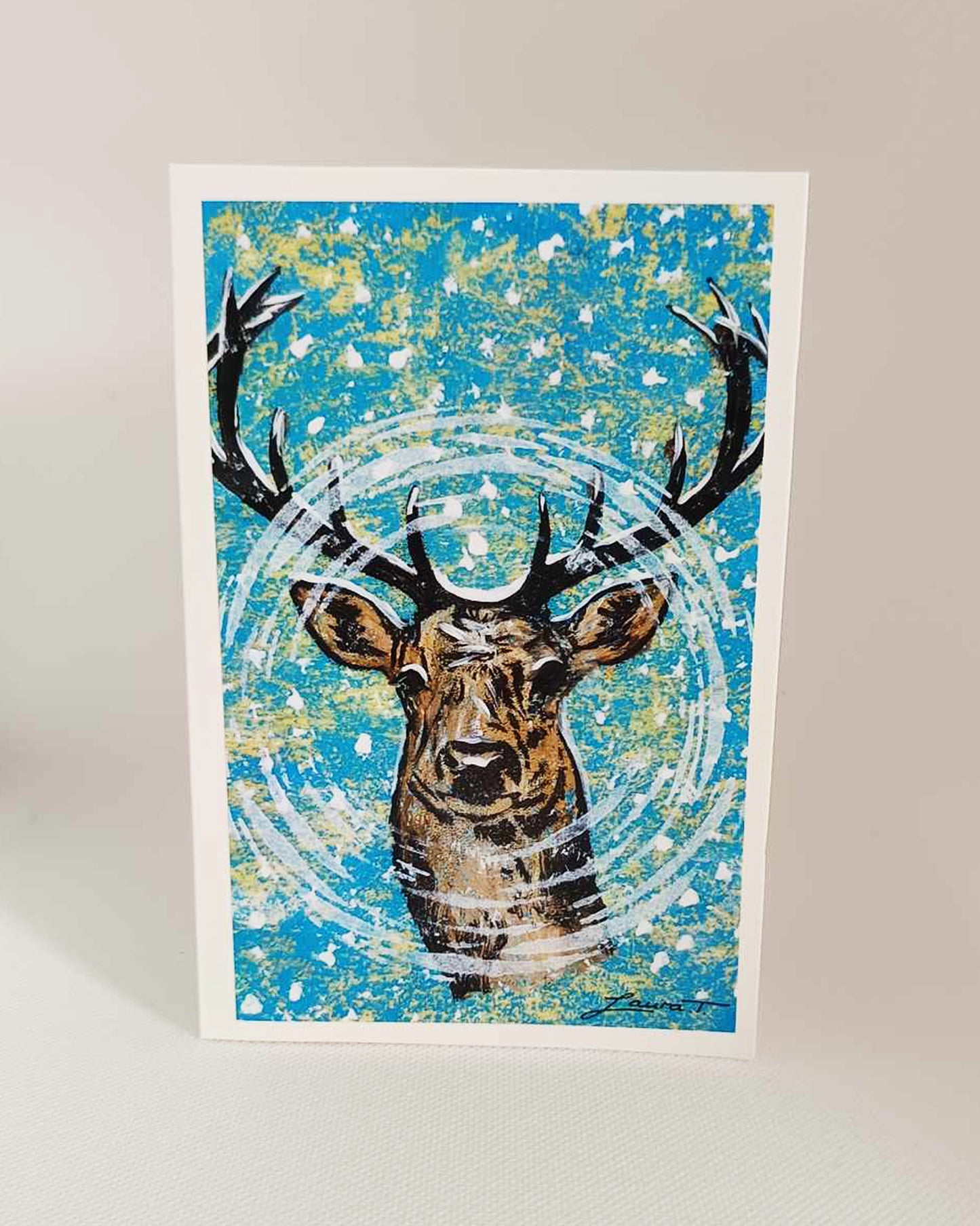 Christmas Card Collection