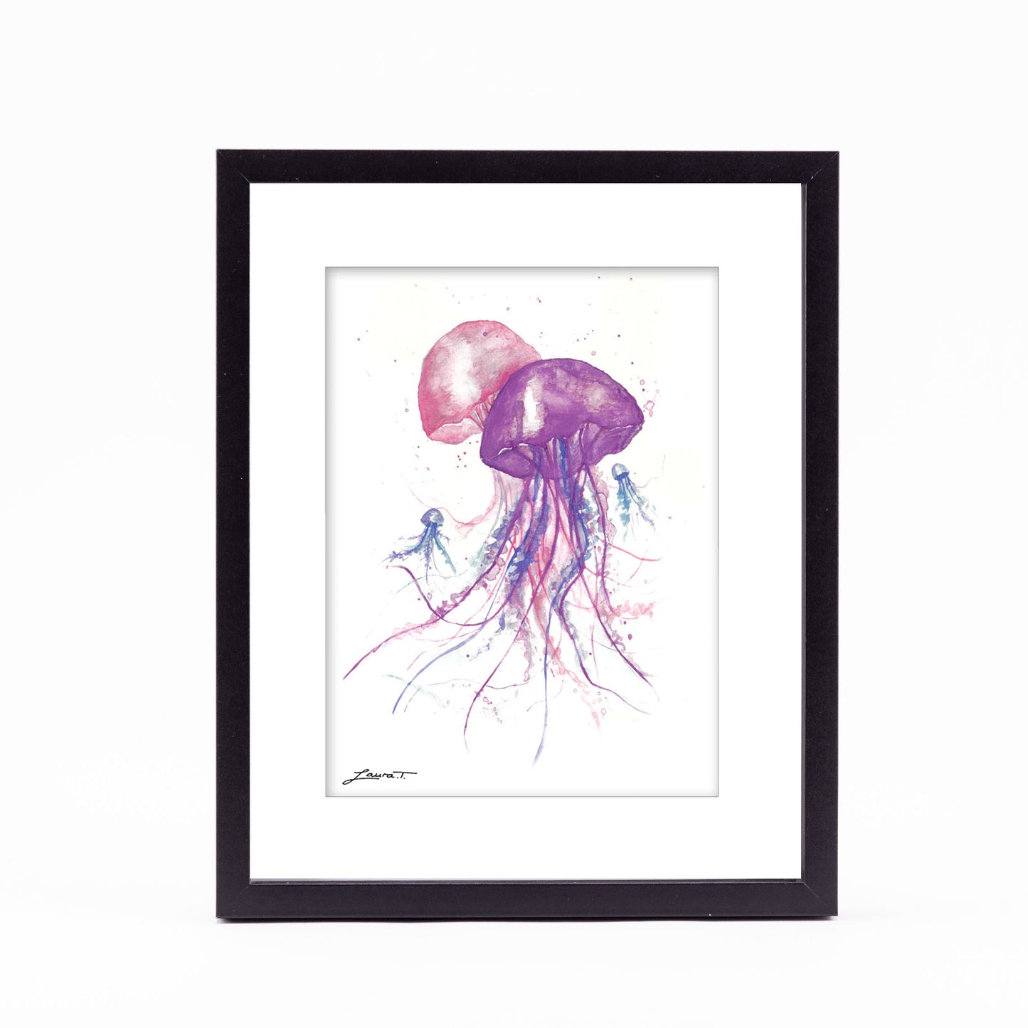 Jellyfish Family
