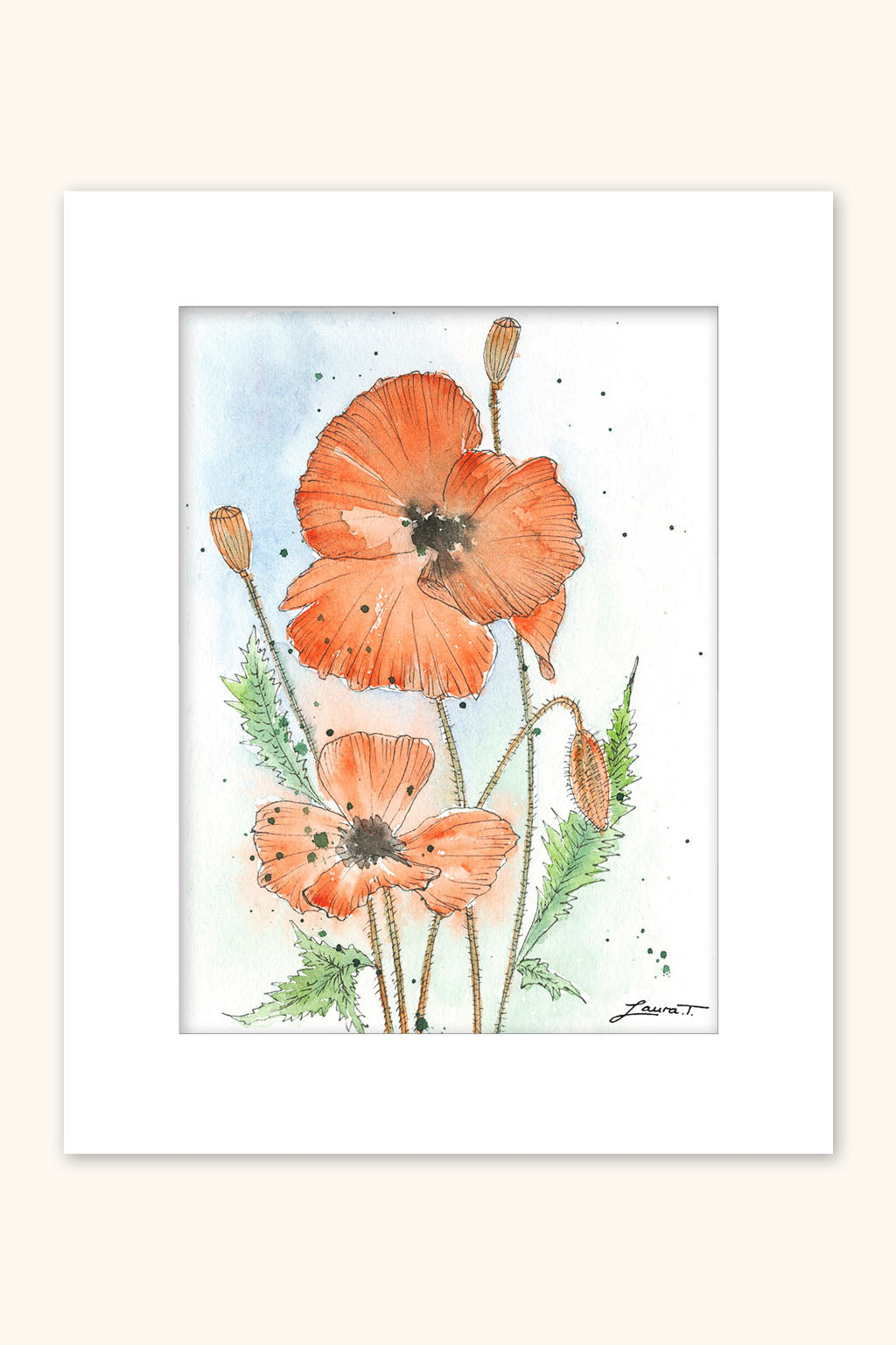 Poppies